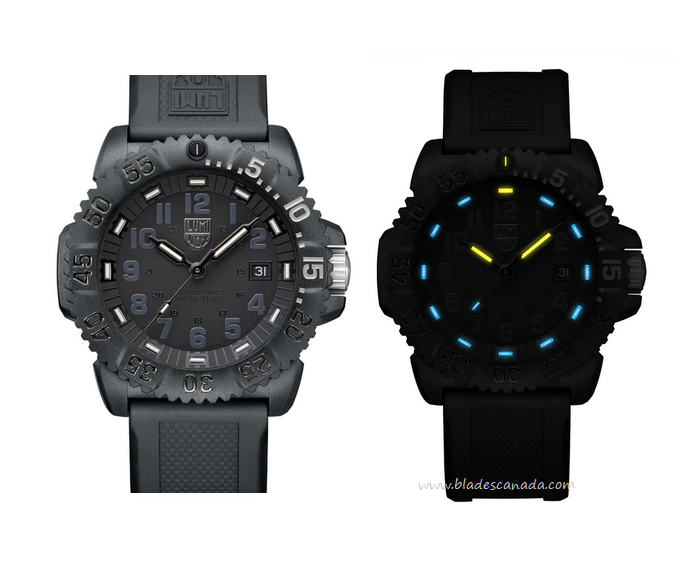 Luminox navy seal 3051 hotsell