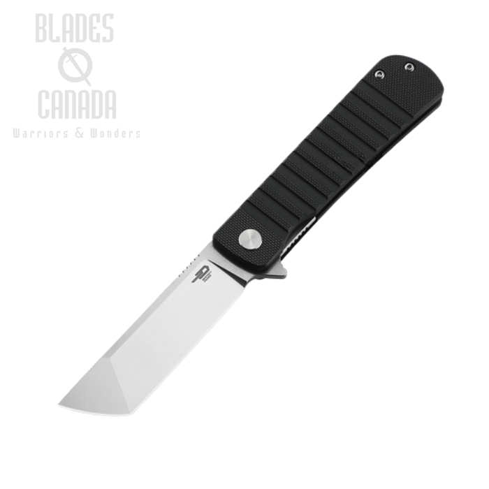 Bestech Titan Flipper Folding Knife, D2 SW/Satin, G10 Black, BG49A-1