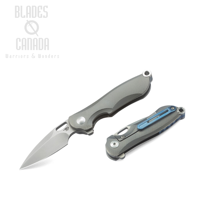 Bestech Parrot Flipper Framelock Knife, S35VN, Titanium Grey, BT1807A