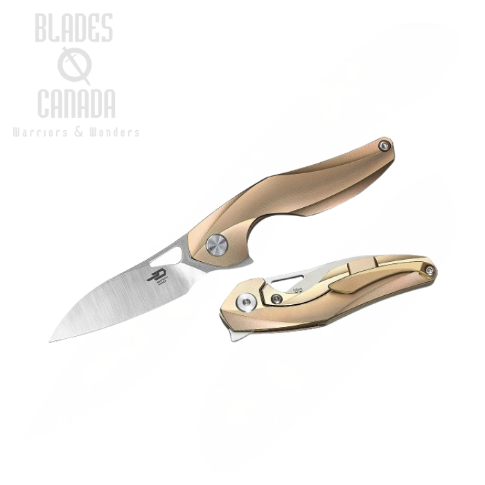Bestech Isham Reticulan Flipper Framelock Knife, 2" S35VN Two-Tone, Titanium Gold, BT1810D