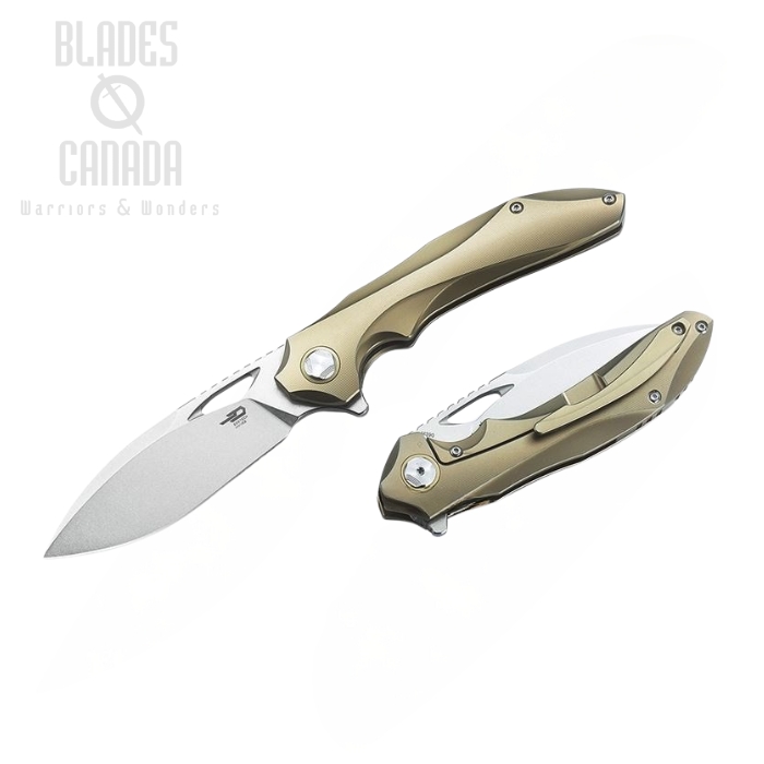Bestech Eskra Flipper Framelock Knife, M390, Titanium Gold, BT1813D