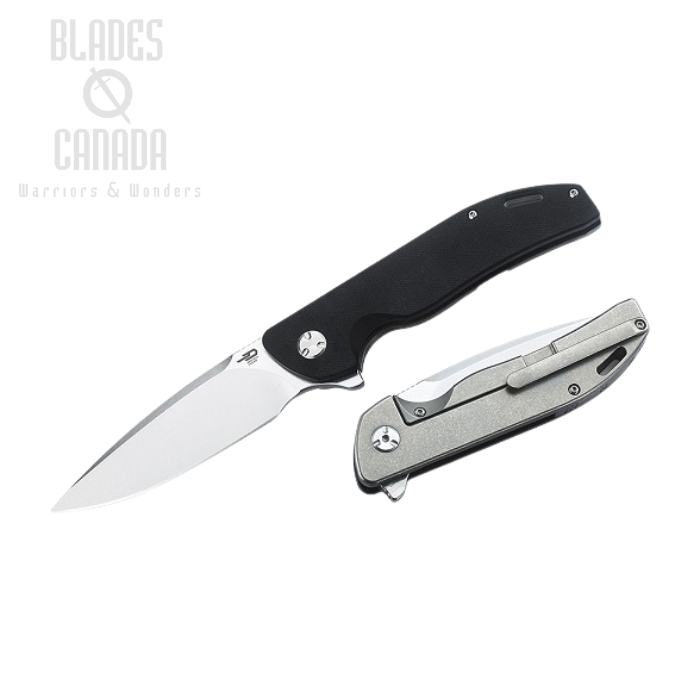 Bestech Bison Flipper Framelock Knife, D2 Drop Point, G10/Titanium, BT1904B-1