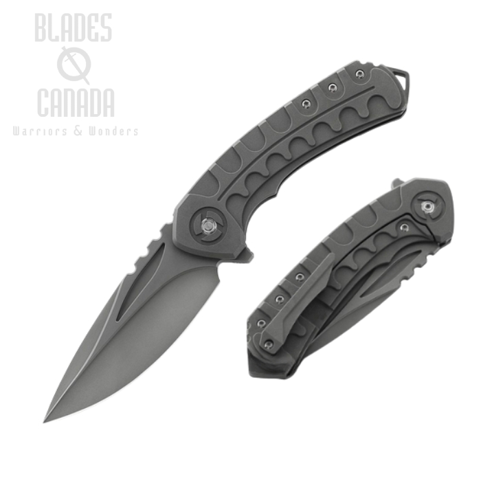 Bestech Buwaya Flipper Framelock Knife, M390 Grey, Titanium Grey, BT2203A