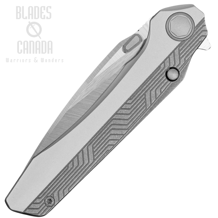 (image for) Bestech Wet Nellie Flipper Button Framelock Knife, MagnaCut Satin, Titanium Black/SW, BT2505B