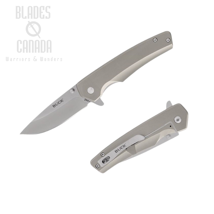 (image for) Buck Odessa Flipper Folding Knife, Stainless Handle, 0254SSS