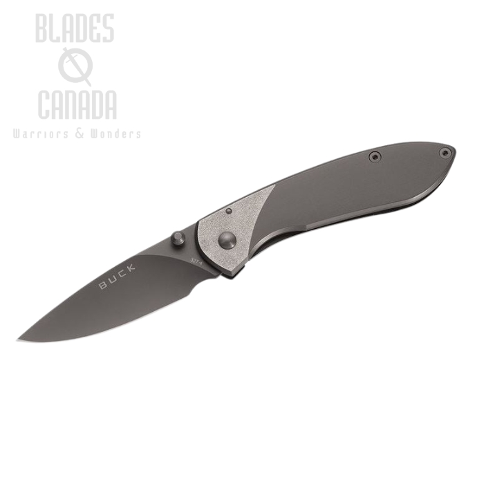 (image for) Buck Nobleman Framelock Folding Knife, Stainless Handle, 0327TTS