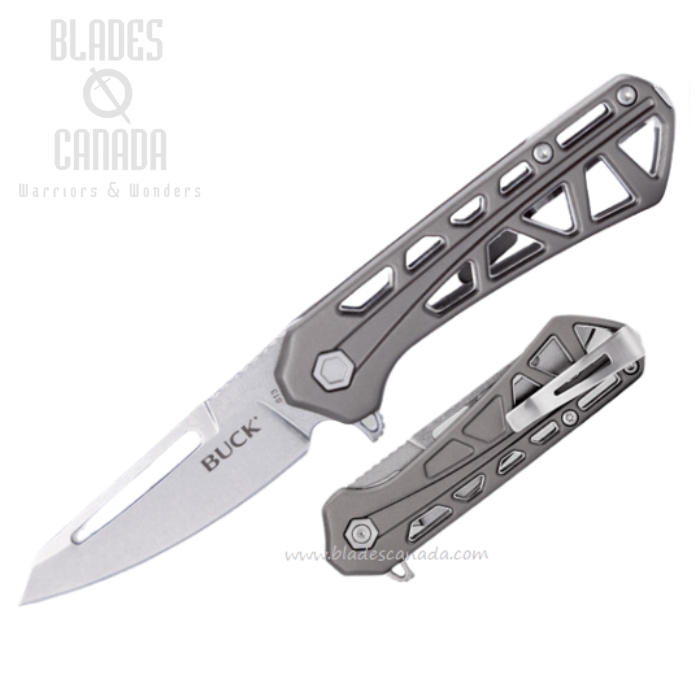 (image for) Buck 813 Small Flipper Folding Knife, Tanto Blade, Aluminum Gray, 0813GYS