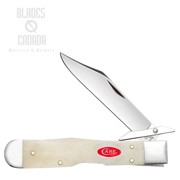 (image for) Case Cheetah Cub Back Lock Folding Knife, Tru-Sharp Stainless, Bone Natural, 14026
