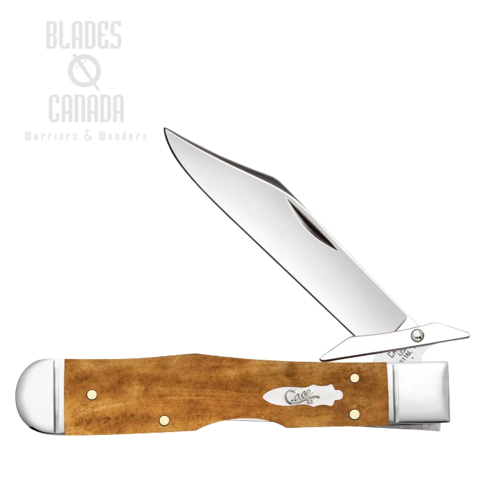 (image for) Case Cheetah Cub Back Lock Folding Knife, Tru-Sharp Stainless, Bone Antique, 58214