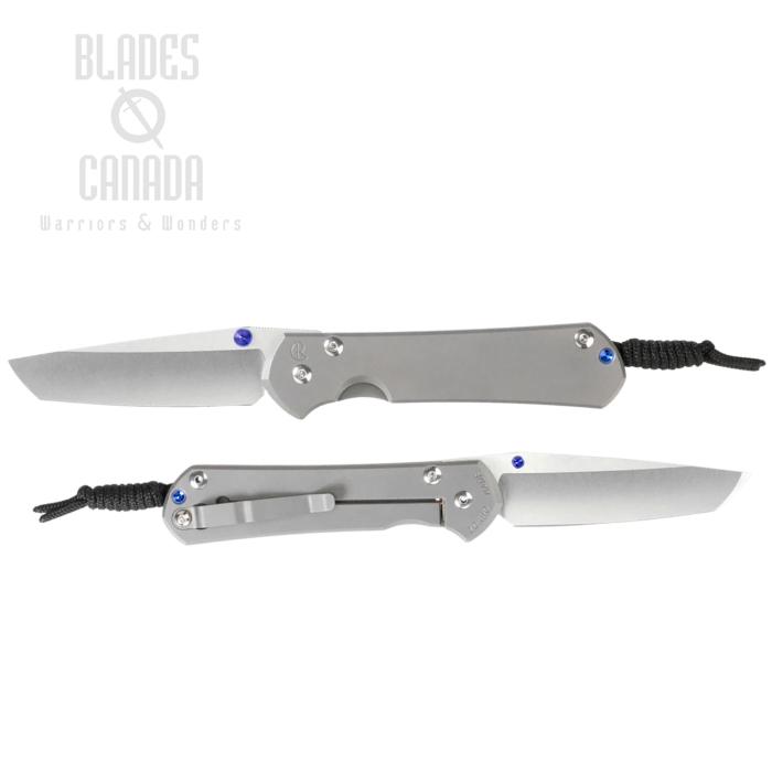 (image for) Chris Reeve Small Sebenza 31 Tanto Framelock Folding Knife, Magnacut SW, Titanium Glass Blasted, S31-1687