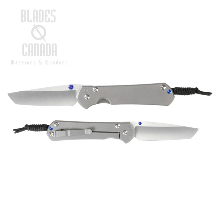 (image for) Chris Reeve Large Sebenza 31 Tanto Framelock Folding Knife, MagnaCut SW, Titanium Sand Blasted, L31-1010