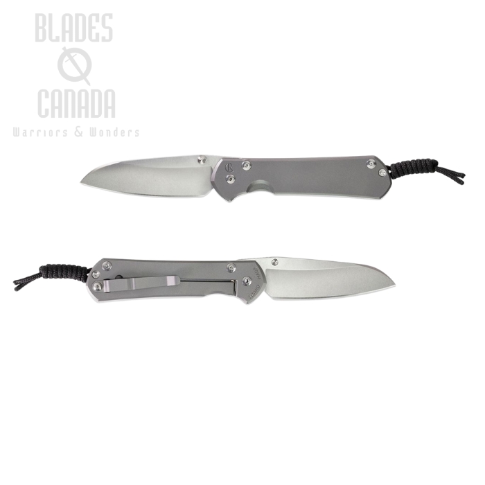 Chris Reeve Large Sebenza 31 Insingo, CPM-S35VN, Glass-Blasted Titanium, L31-1685