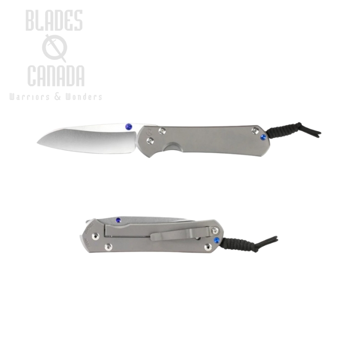 Chris Reeve Small Sebenza 31 Insingo Framelock Folding Knife, MagnaCut