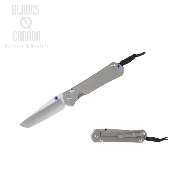 Chris Reeve Small Sebenza 31 Tanto Framelock Folding Knife, MagnaCut