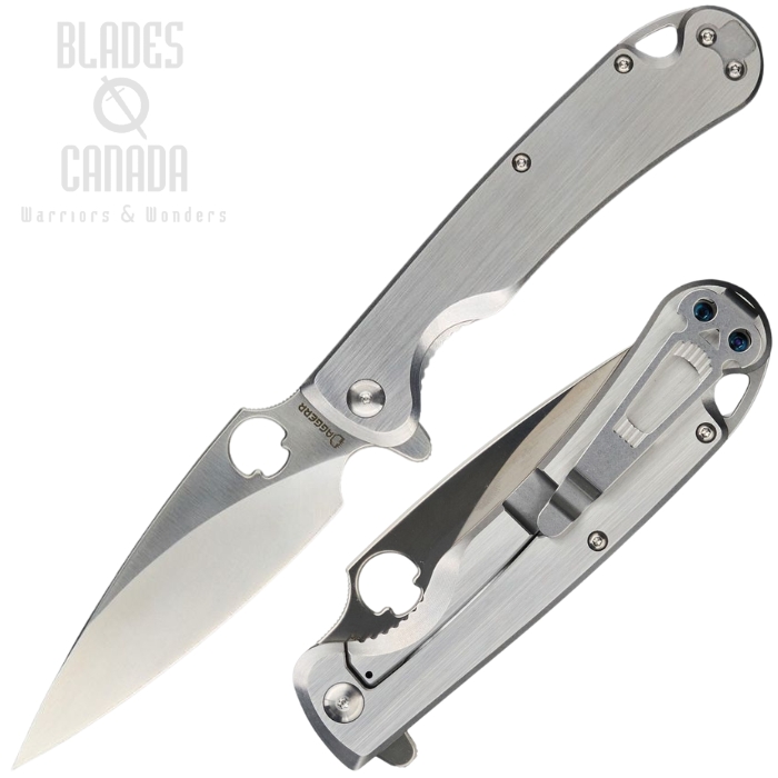 Daggerr Zhalo Flipper Framelock Knife, D2 Satin, Stainless Brushed, DGRF22FSS