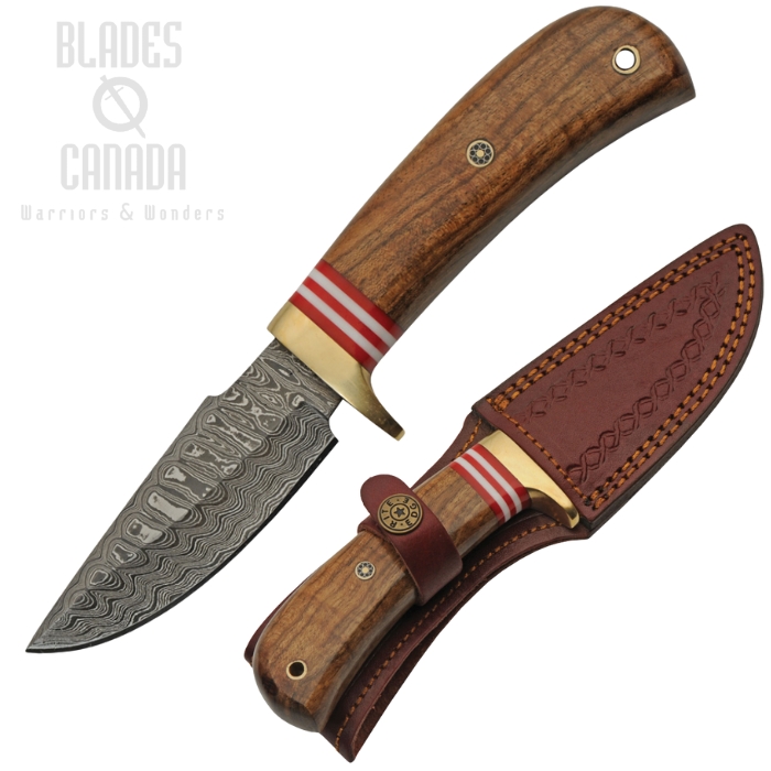 Damascus Knives Hunter Fixed Blade Knife, Damascus, Walnut Handle, Brown Leather Sheath, DM-1287 Damascus Knives Hunter Fixed Blade Knife, Damascus, Walnut Handle, Brown Leather Sheath, DM-1287