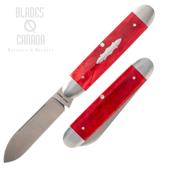 (Coming Soon) Jack Wolf Equal End Slipjoint Folding Knife, 14C28N Satin, Bone Smooth Red