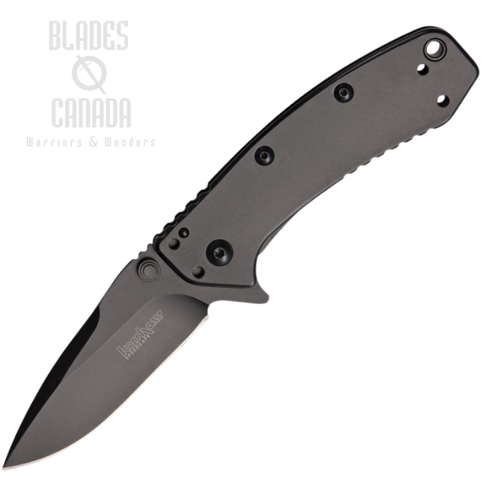 Kershaw Cryo Flipper Framelock Knife, Assisted Opening, Stainless Black Handle, K1555BLK