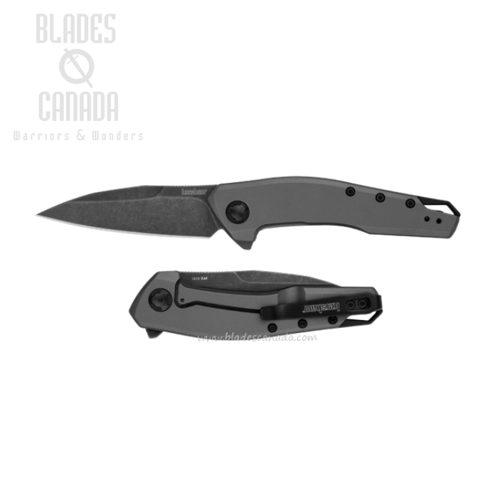 Kershaw Sanctum Flipper Framelock Knife, Assisted Opening, Stainless Gray PVD, 1815