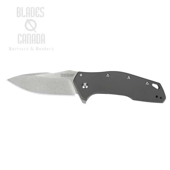 Kershaw Eris Flipper Framelock Knife, Assisted Opening, Stainless Grey Handle, K1881