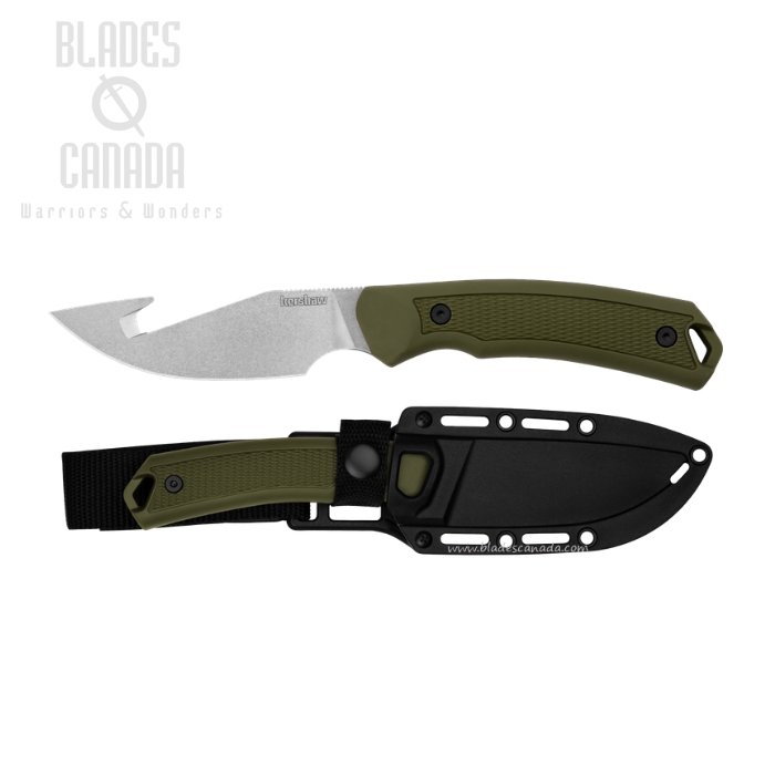 Kershaw Deschutes Skinner Fixed Blade Knife, D2 Gut Hook, Olive Handle, 1883GH