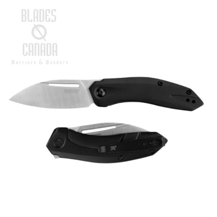 Kershaw Turismo Flipper Framelock Knife, Assisted Opening, D2, Stainless Black Handle, K5505