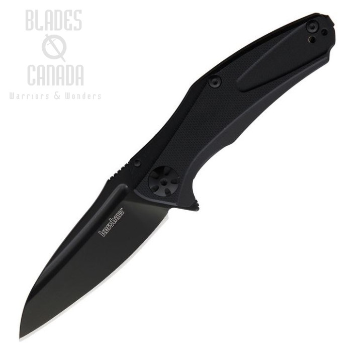 Kershaw Natrix Flipper Framelock Knife, G10 Black, K7006BLK