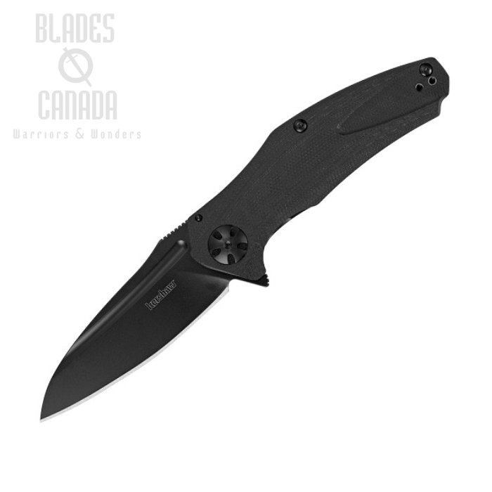 Kershaw Natrix Flipper Framelock Knife, Assisted Opening, G10 Black, K7007BLK-A