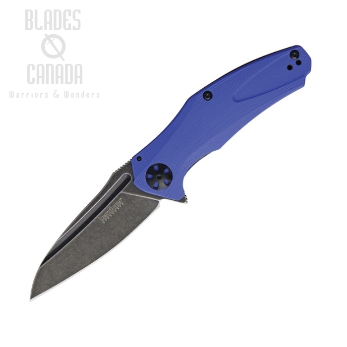 Kershaw Natrix Flipper Sub-Framelock Knife, Assisted Opening, G10 Blue, K7007BLUBW