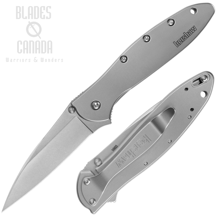 (image for) Kershaw Leek Flipper Framelock Knife, Assisted Opening, 14C28N Sandvik, Stainless Handle, 1660