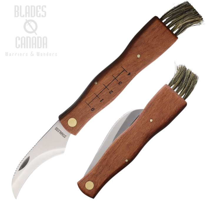 MAIN Mushroom Knife, Stainless, Satin, Brown Wood, Brush End, MAIN7000