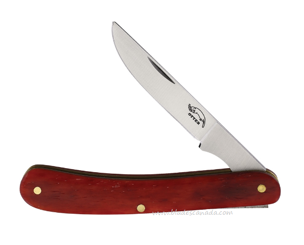 Otter-Messer Little Doctor Slipjoint Folding Knife, Stainless Satin, Bone Red, 175KNRT
