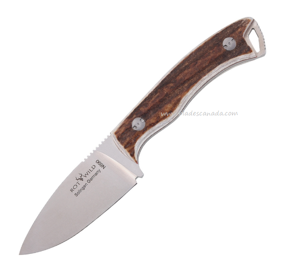 Otter-Messer Rotwild Milan Fixed Blade Knife, N690, Buck Horn, R04HH