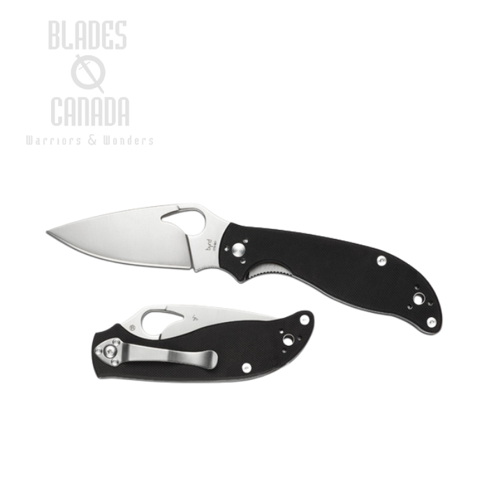 Byrd Raven Gen 2 Folding Knife, CTS BD1, G10 Black, by Spyderco, BY08GP2