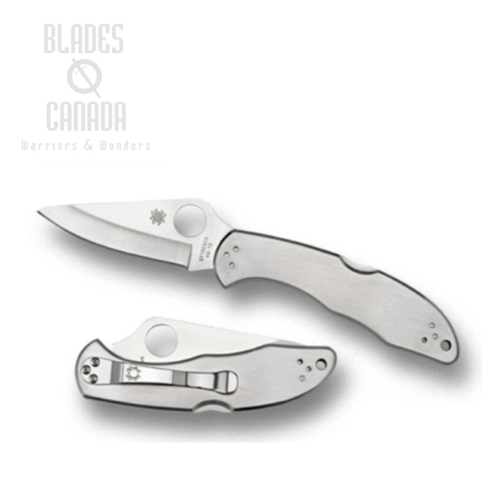 Spyderco Delica 4 Folding Knife, VG10, Stainless Handle, C11P