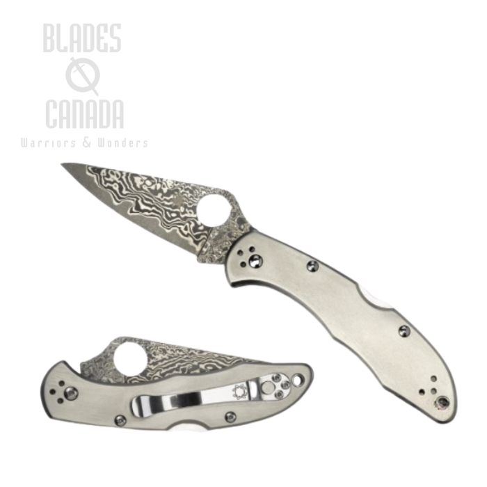 Spyderco Delica 4 Folding Knife, VG10/Damascus, Titanium, C11TIPD