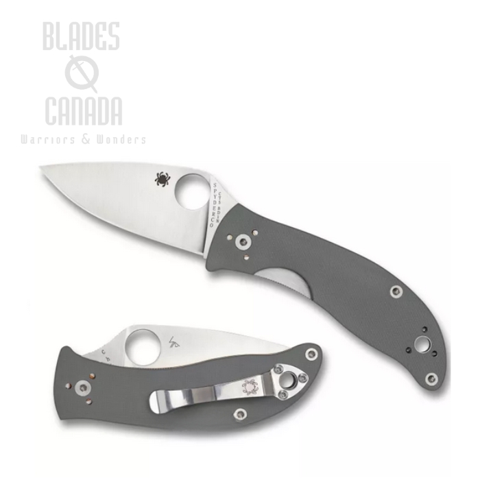 Spyderco Alcyone Folding Knife, BD1N Steel, G10 Grey, C222GPGY-BD1N