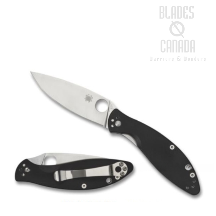 Spyderco Astute Folding Knife, G10 Black, C252G