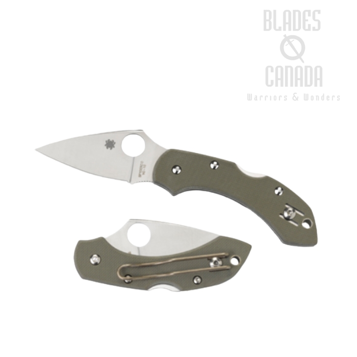 Spyderco Dragonfly Folding Knife, VG10, G10 Foliage Green, C28GPFG