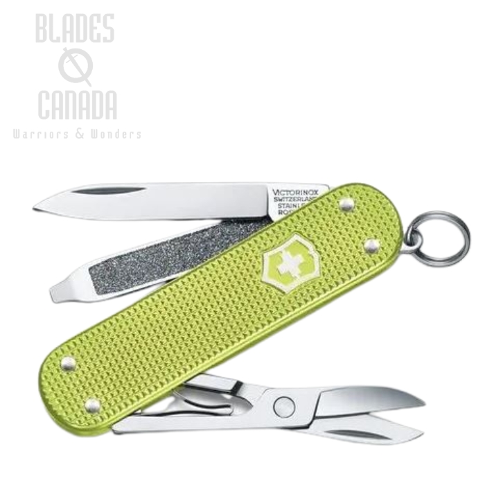 (image for) Victorinox Swiss Army Classic SD Alox - Lime Twist