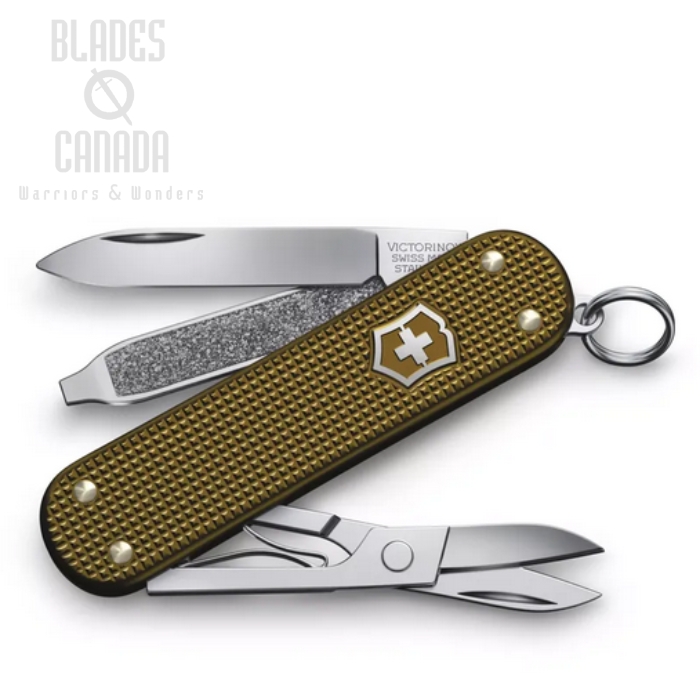 (image for) Victorinox Swiss Army Classic SD Multitool, Limited Edition 2024, Alox Terra Brown, 0.6221.L24