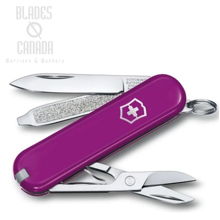 (image for) Victorinox Swiss Army Classic SD - Tasty Grape