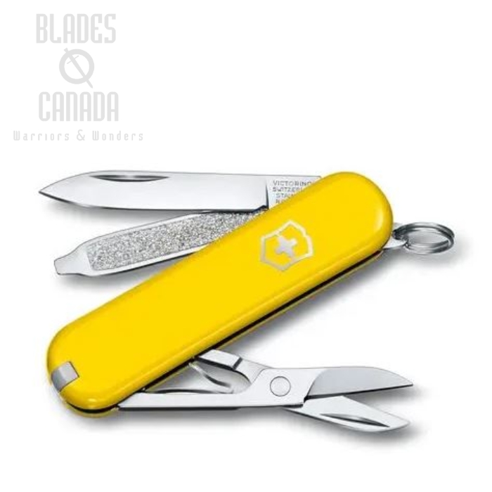(image for) Victorinox Swiss Army Classic SD - Sunny Side