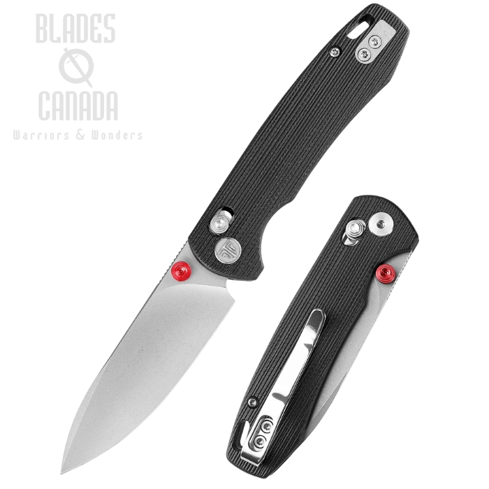 Trivisa Dragonfly Axis Lock Folding Knife, 14C28N Satin, G10 Black, TVJM03BG14