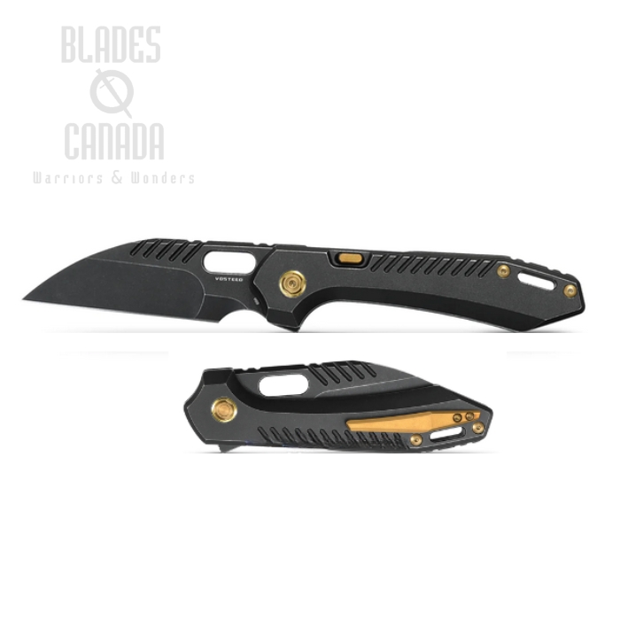 Vosteed RSKAOS Flipper Folding Knife, M390 Wharncliffe Black, Titanium Black, MHET1