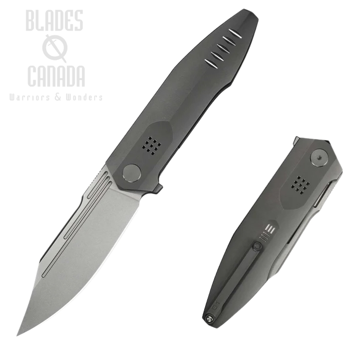 (image for) WE Knife Flight Line Flipper Folding Knife, Limited Edition, M390 SW, Titanium Dark Grey, WE23089-1