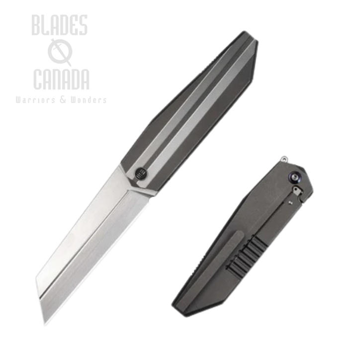 WE Knife Collinear Flipper Frame Lock Knife, M390 Satin, Titanium Gray Satin, WE22034D-2