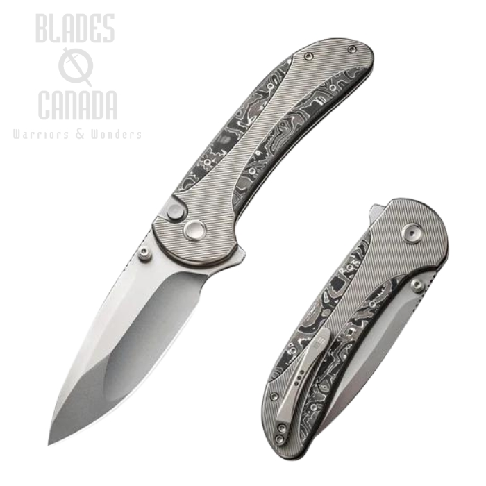 WE Knife Zizzit Flipper Button Lock Knife, CPM 20CV, Titanium/Aluminum Foil Carbon Fiber, 23031-2