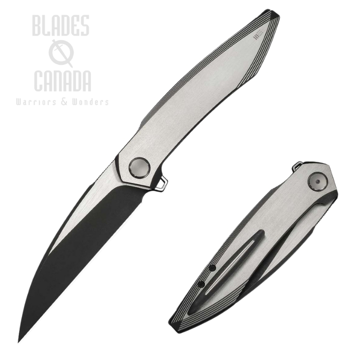 We Knife Fluxor Flipper Folding Knife, M390 Two-Tone, Titanium Satin/Black, WE23071-4