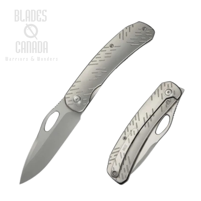 WE Knife Inmate Front Flipper Folding Knife, CPM 20CV SW, Titanium Gray, 23096B-1